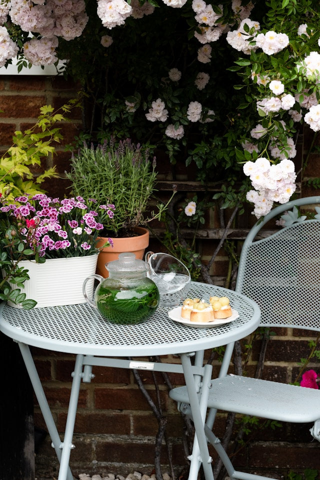 Garden & Patio
