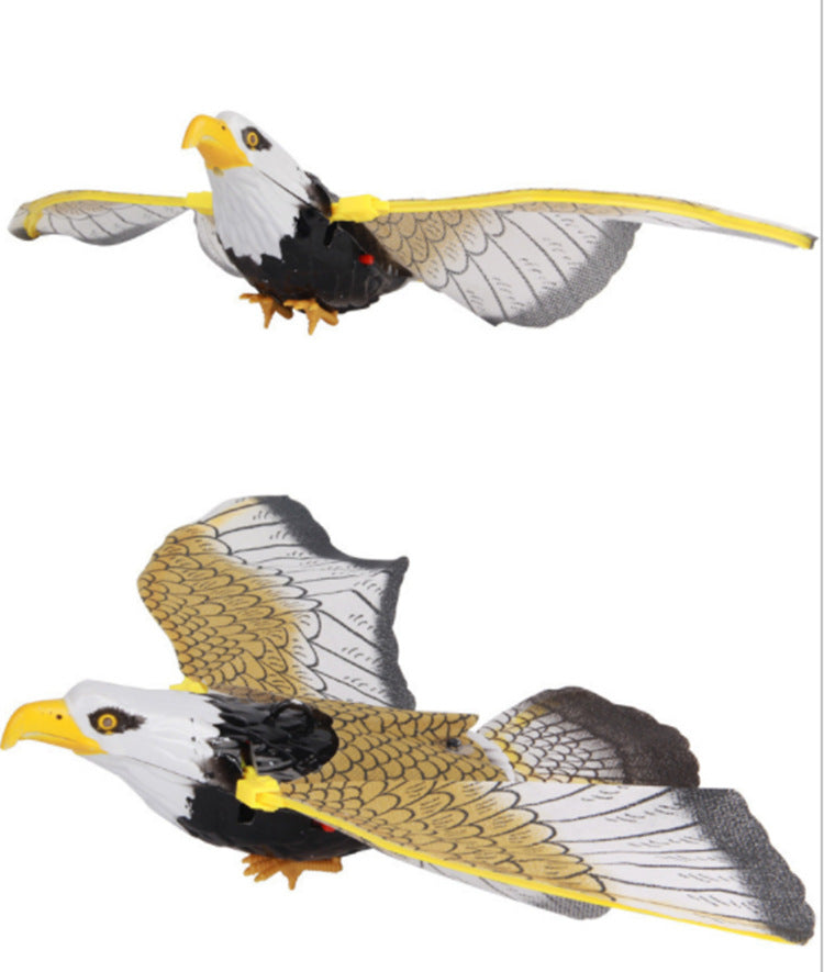 Simulation Bird Cat Interactive