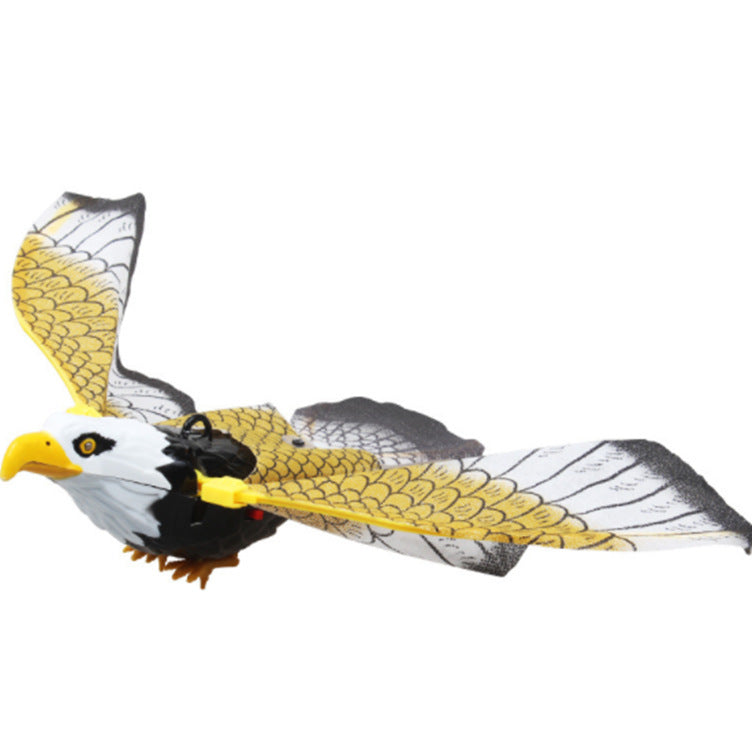 Simulation Bird Cat Interactive