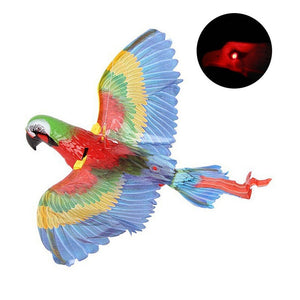 Simulation Bird Cat Interactive
