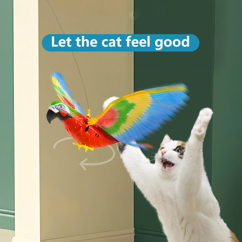Simulation Bird Cat Interactive