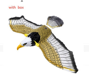 Simulation Bird Cat Interactive