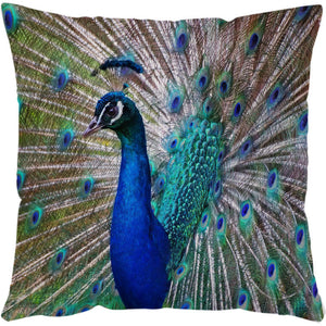 Sea Turtle Cushion Covers