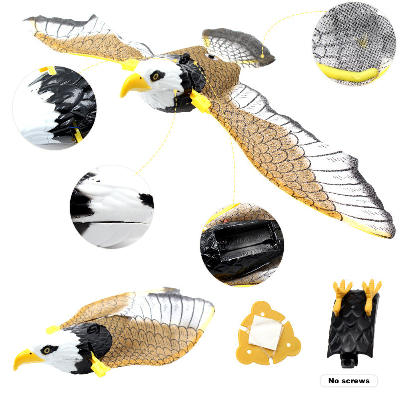 Simulation Bird Cat Interactive