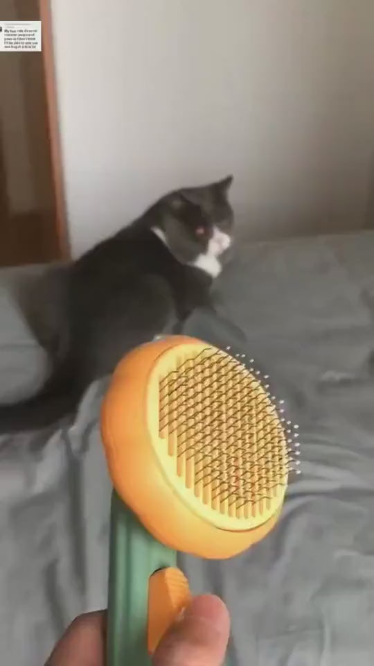 New Pet Cat Brush Hot Selling Hand-held Steel Wire Self-cleaning Comb Looper For Hair Removal